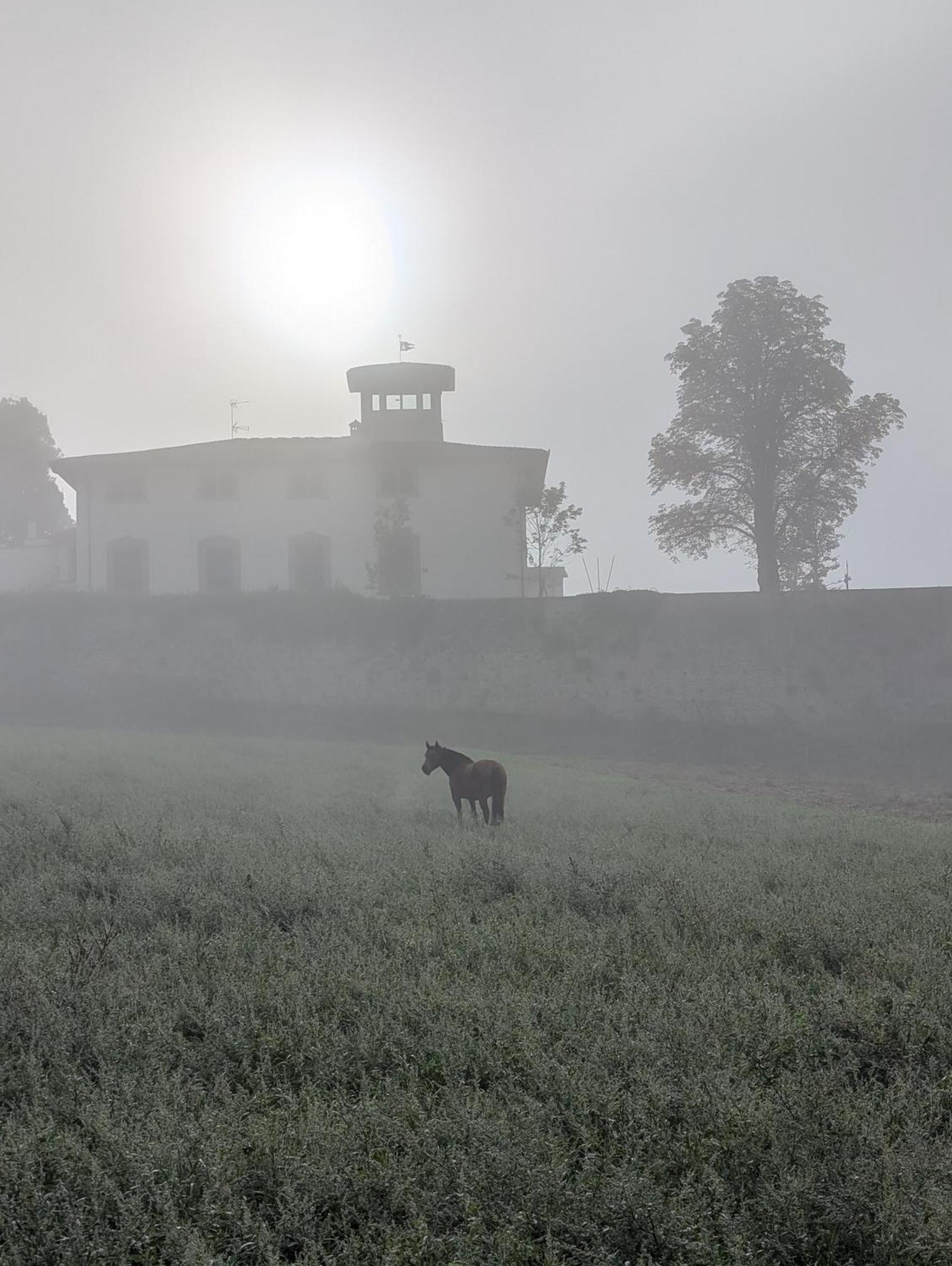 Villa Poggio Bartoli Molezzano Exterior photo